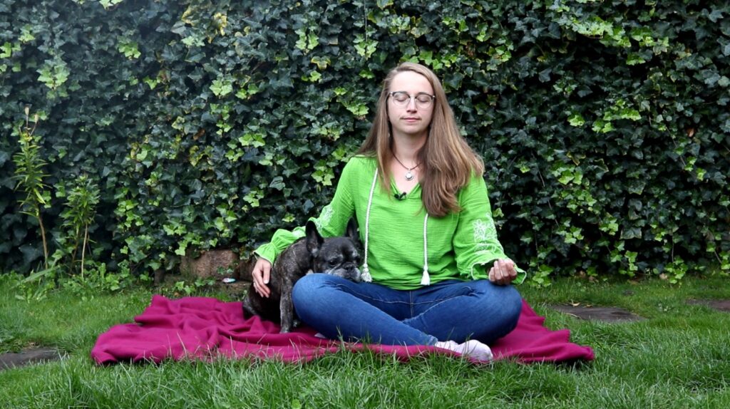 Jij & je dier - mini meditatie cursus